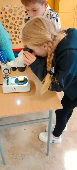 Leśna lekcja w Baligrodzie: dzieci poznają grzyby i zasady bezpieczeństwa