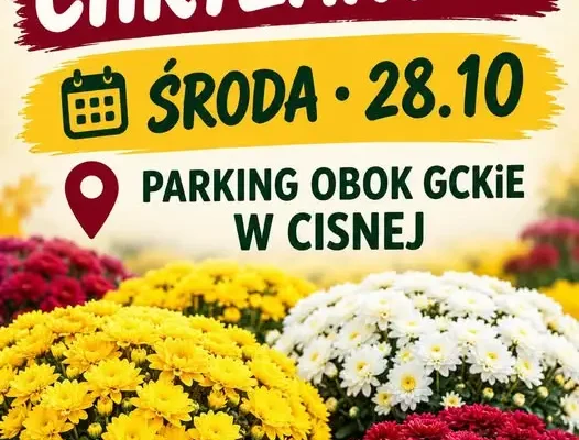 Sprzedaż chryzantem w Cisnej – 28 października na parkingu obok GCKiE